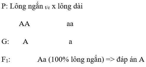 Giải vở bài tập Sinh học 9 | Giải VBT Sinh học 9 Bai 1 Trang 18 Vbt Sinh Hoc 9