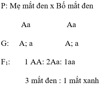 Giải vở bài tập Sinh học 9 | Giải VBT Sinh học 9 Bai 4 Trang 18 19 Vbt Sinh Hoc 9