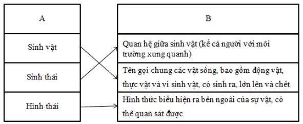 Giải bài tập VBT Tiếng Việt 5 | Trả lời câu hỏi VBT Tiếng Việt 5 Luyen Tu Va Cau Tuan 12 Trang 81 82 Tap 1