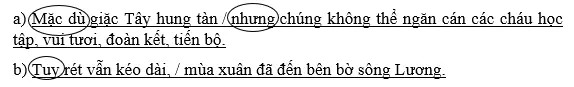 Giải bài tập VBT Tiếng Việt 5 | Trả lời câu hỏi VBT Tiếng Việt 5 Luyen Tu Va Cau Tuan 22 Trang 25 26 Tap 2 1