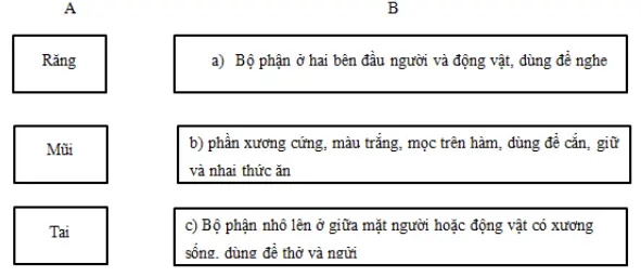 Giải bài tập VBT Tiếng Việt 5 | Trả lời câu hỏi VBT Tiếng Việt 5 Luyen Tu Va Cau Tuan 7 Trang 41 42 43 Tap 1