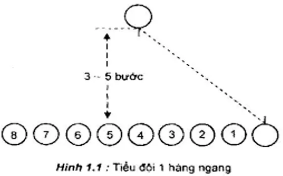 Lý thuyết GDQP 10 Cánh diều Bài 3: Đội ngũ tiểu đội (ảnh 1) Ly Thuyet Bai 3 Doi Ngu Tieu Doi 157324
