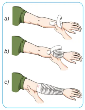 Trắc nghiệm GDQP 10 Cánh diều Bài 2 (có đáp án): Kĩ thuật cấp cứu và chuyển thương Trac Nghiem Bai 2 Ki Thuat Cap Cuu Va Chuyen Thuong 153146