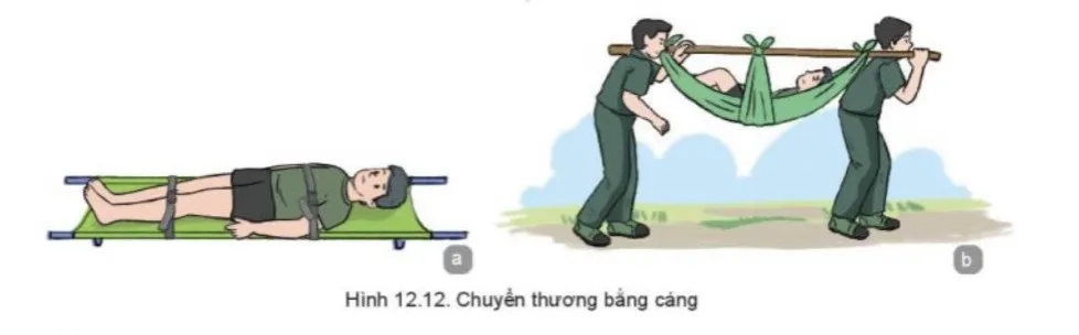 Lý thuyết GDQP 10 Kết nối tri thức Bài 12: Kĩ thuật cấp cứu và chuyển thương Ly Thuyet Bai 12 Ki Thuat Cap Cuu Va Chuyen Thuong 155918