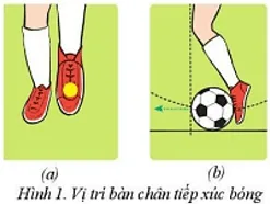 Vận dụng kĩ thuật dẫn bóng và dừng bóng bằng mu giữa bàn chân Bai 1 Ki Thuat Dan Bong Va Dung Bong Bang Mu Giua Ban Chan Bd