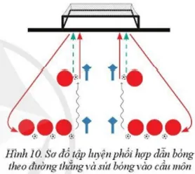 Vận dụng các bài tập phối hợp vào các trò chơi vận động, tập luyện Bai 2 Phoi Hop Mot So Ki Thuat Co Ban Va Thi Dau Bd 3