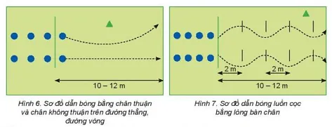 Vận dụng kĩ thuật dẫn bóng bằng lòng bàn chân để luyện tập, rèn luyện thể dục hàng ngày Cau 1 Trang 21 Giao Duc The Chat 10 1 Bd