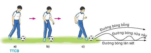 Vận dụng kĩ thuật đá bóng bằng lòng bàn chân, trò chơi vận động đã học để luyện tập và vui chơi hàng ngày Cau 1 Trang 30 Giao Duc The Chat 10 Bd