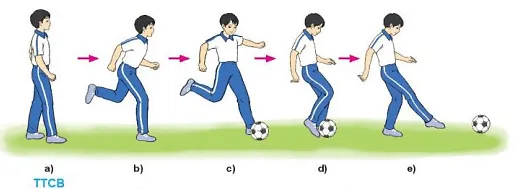 Vận dụng kĩ thuật đá bóng bằng mu giữa bàn chân để tập luyện và thi đấu Cau 1 Trang 35 Giao Duc The Chat 10 1 Bd