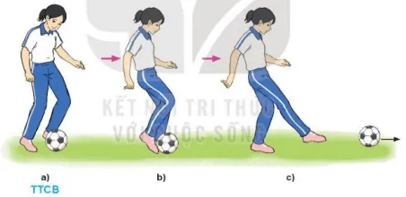 Vận dụng kĩ thuật đá bóng bằng mu giữa bàn chân để tập luyện và thi đấu Cau 1 Trang 35 Giao Duc The Chat 10 Bd