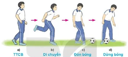 Vận dụng phối hợp kĩ thuật đá bóng và dừng bóng bằng lòng bàn chân để luyện tập, vui chơi hàng ngày Cau 1 Trang 40 Giao Duc The Chat 10 1 Bd