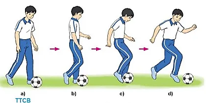 Trong luyện tập và thi đấu Bóng đá, kĩ thuật dẫn bóng bằng mu giữa bàn chân có ưu điểm và hạn chế gì Cau 3 Trang 25 Giao Duc The Chat 10 Bd