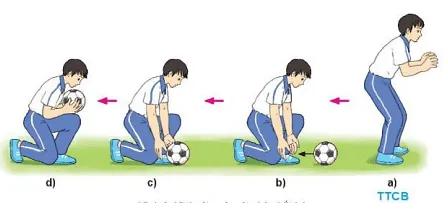 Kĩ thuật quỳ một chân bắt bóng thường được sử dụng với đường bóng nào Cau 3 Trang 63 Giao Duc The Chat 10 Bd