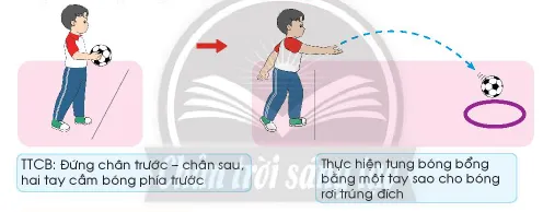 Giáo dục thể chất lớp 3 trang 49 Kiến thức mới | Chân trời sáng tạo Kien Thuc Moi Trang 49 137922