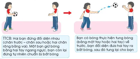 Giáo dục thể chất lớp 3 trang 52, 53 Kiến thức mới | Chân trời sáng tạo Kien Thuc Moi Trang 52 53 137936