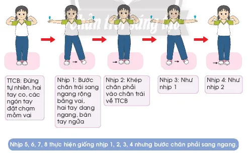 Giáo dục thể chất lớp 3 trang 57, 58 Kiến thức mới | Chân trời sáng tạo Kien Thuc Moi Trang 57 58 137947