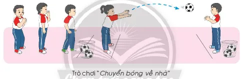 Giáo dục thể chất lớp 3 trang 53, 54 Luyện tập | Chân trời sáng tạo Luyen Tap Trang 53 54 137940