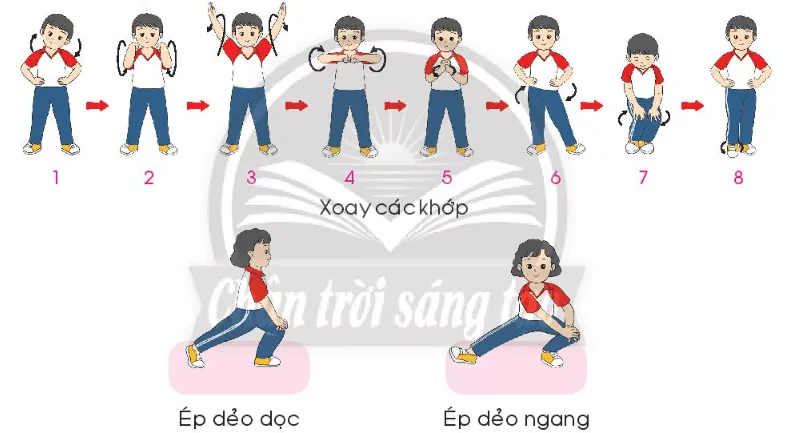 Giáo dục thể chất lớp 3 trang 36 Mở đầu | Chân trời sáng tạo Mo Dau Trang 36 137870