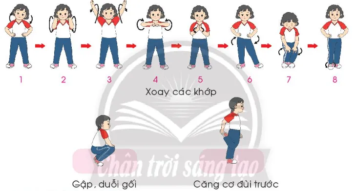 Giáo dục thể chất lớp 3 trang 39 Mở đầu | Chân trời sáng tạo Mo Dau Trang 39 137881