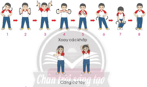 Giáo dục thể chất lớp 3 trang 42 Mở đầu | Chân trời sáng tạo Mo Dau Trang 42 137890