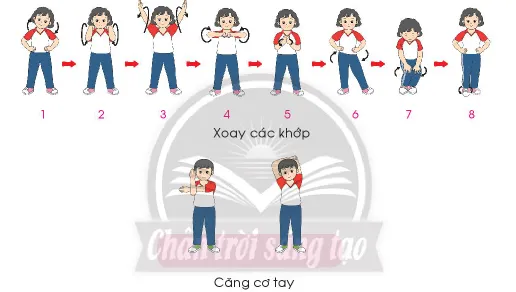 Giáo dục thể chất lớp 3 trang 45 Mở đầu - Chân trời sáng tạo Mo Dau Trang 45 137902