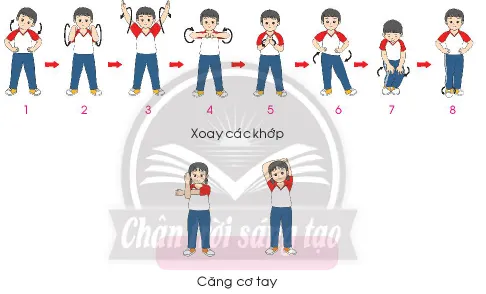 Giáo dục thể chất lớp 3 trang 48 Mở đầu | Chân trời sáng tạo Mo Dau Trang 48 137921