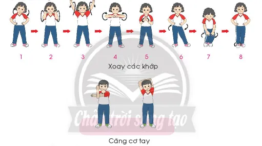 Giáo dục thể chất lớp 3 trang 51 Mở đầu | Chân trời sáng tạo Mo Dau Trang 51 137932