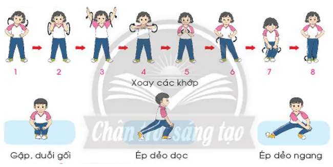 Giáo dục thể chất lớp 3 trang 7 Mở đầu | Chân trời sáng tạo Mo Dau Trang 7