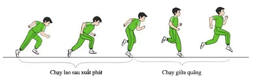 Giáo dục thể chất 7 Bài 2: Phối hợp trong giai đoạn chạy lao sau xuất phát và chạy giữa quãng | GDTC 7 Cau 1 Trang 12 Giao Duc The Chat 7 137715