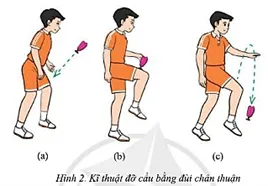 Em hãy nêu sự khác nhau giữa kĩ thuật đỡ cầu bằng đùi và kĩ thuật tâng cầu bằng đùi Cau 1 Trang 92 Giao Duc The Chat 7 3