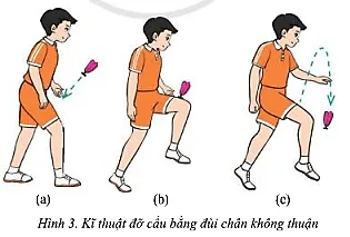 Em hãy nêu sự khác nhau giữa kĩ thuật đỡ cầu bằng đùi và kĩ thuật tâng cầu bằng đùi Cau 1 Trang 92 Giao Duc The Chat 7 4