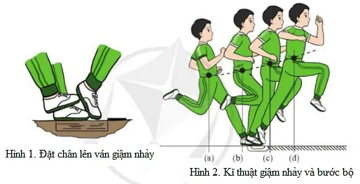 Em hãy nêu cách thực hiện kĩ thuật giậm nhảy và bước bộ trong nhảy xa kiểu ngồi Cau 2 Trang 21 Giao Duc The Chat 7