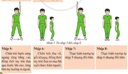 Em hãy vận dụng bài Thể dục liên hoàn vào tập luyện thể dục giữa giờ, biểu diễn kết hợp với các dụng cụ và âm nhạc Cau 2 Trang 50 Giao Duc The Chat 7 2