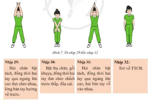 Em hãy vận dụng bài Thể dục liên hoàn vào tập luyện thể dục giữa giờ, biểu diễn kết hợp với các dụng cụ và âm nhạc Cau 2 Trang 50 Giao Duc The Chat 7 8