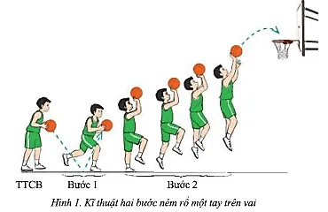 Em hãy so sánh những điểm giống và khác nhau của kĩ thuật tại chỗ ném rổ một tay trên vai và kĩ thuật hai bước ném rổ một tay Cau 2 Trang 65 Giao Duc The Chat 7