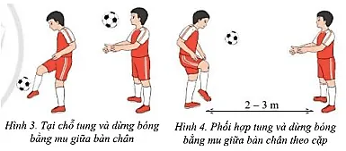 Em hãy cho biết kĩ thuật dừng bóng bằng mu giữa bàn chân thường được sử dụng trong những tình huống nào Cau 2 Trang 76 Giao Duc The Chat 7