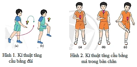 Em hãy nêu những điểm giống và khác nhau giữa kĩ thuật tâng cầu bằng đùi và tâng cầu bằng má trong bàn chân Cau 2 Trang 85 Giao Duc The Chat 7