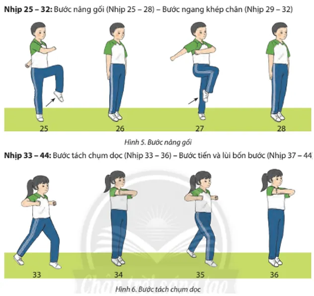 Các em hãy thay đổi thứ tự các động tác trong bài Thể dục Aerobic liên hoàn và thực hiện với nhạc Cau 1 Trang 65 Giao Duc The Chat 7 2