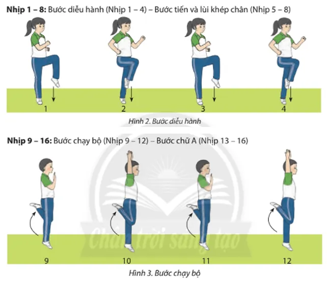 Các em hãy thay đổi thứ tự các động tác trong bài Thể dục Aerobic liên hoàn và thực hiện với nhạc Cau 1 Trang 65 Giao Duc The Chat 7