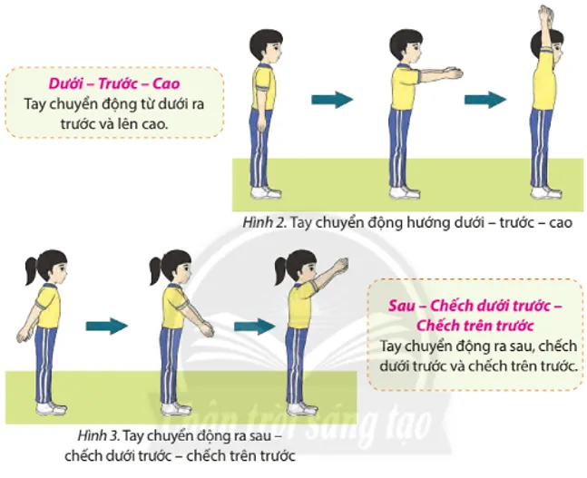 Em hãy sử dụng các tư thế tay cơ bản đã học ở lớp 6 để ghép vào các bước chân phối hợp Cau 2 Trang 60 Giao Duc The Chat 7