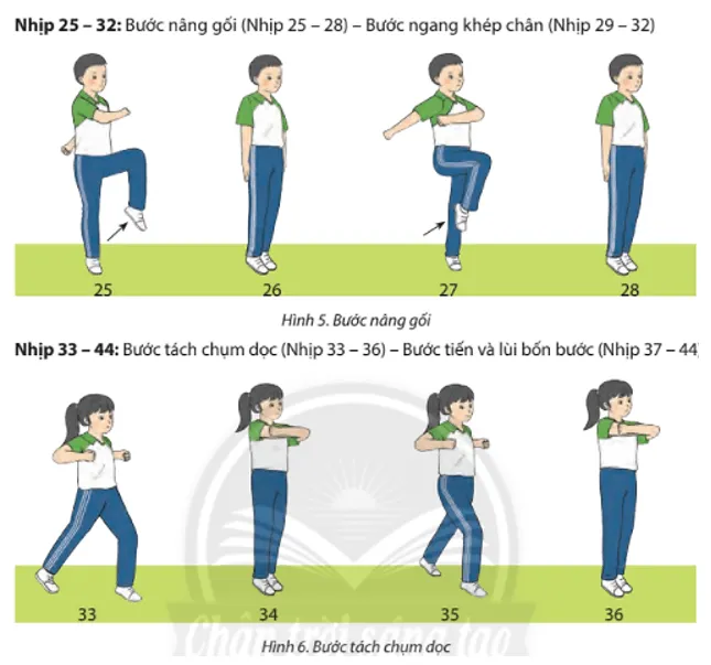 Trong giờ ra chơi, các em cùng nhau tập luyện bài Thể dục Aerobic liên hoàn với nhạc cho các bạn cùng xem Cau 2 Trang 65 Giao Duc The Chat 7 2