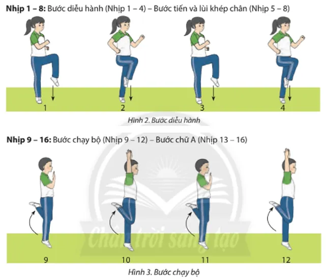 Trong giờ ra chơi, các em cùng nhau tập luyện bài Thể dục Aerobic liên hoàn với nhạc cho các bạn cùng xem Cau 2 Trang 65 Giao Duc The Chat 7