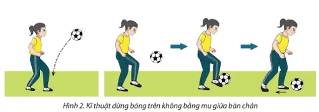 Em hãy tận dụng bức tường ở những nơi cho phép thực hiện tung bóng vào tường theo hướng từ dưới lên Cau 2 Trang 78 Giao Duc The Chat 7