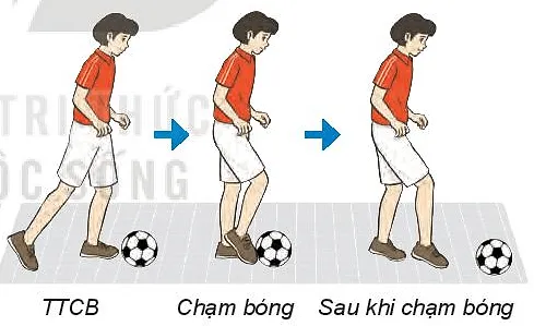 Em hãy luyện tập dẫn bóng bằng mu trong bàn chân theo đường dích dắc, luồn cọc Bai 3 Ki Thuat Dan Bong Bang Mu Trong Ban Chan 1