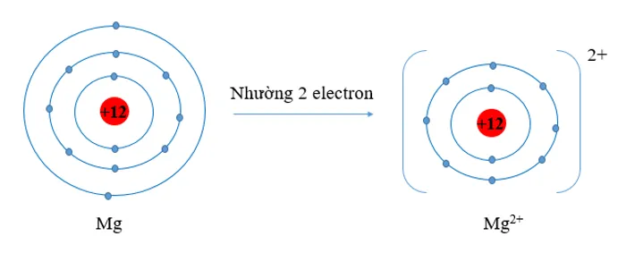 Giải thích vì sao bán kính nguyên tử Na, Mg lớn hơn bán kính Bai 3 Trang 56 Hoa Hoc 10 1