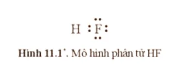 Mỗi nguyên tử trong phân tử HF (Hình 11.1) có bao nhiêu electron chung Cau Hoi 1 Trang 57 Hoa Hoc 10