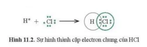 Trong phân tử HCl, lớp electron ngoài cùng của Cl và H lần lượt là bao nhiêu electron? Cau Hoi 2 Trang 58 Hoa Hoc 10