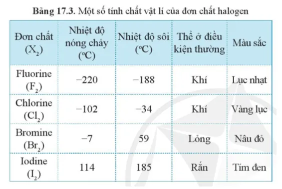 Dựa vào xu hướng biến đổi tính chất của các đơn chất halogen trong bảng 17.3 Luyen Tap 1 Trang 101 Hoa Hoc 10