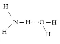 Viết các khả năng tạo thành liên kết hydrogen giữa một phân tử H2O Luyen Tap 1 Trang 65 Hoa Hoc 10 1