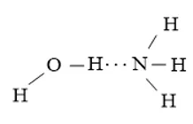 Viết các khả năng tạo thành liên kết hydrogen giữa một phân tử H2O Luyen Tap 1 Trang 65 Hoa Hoc 10